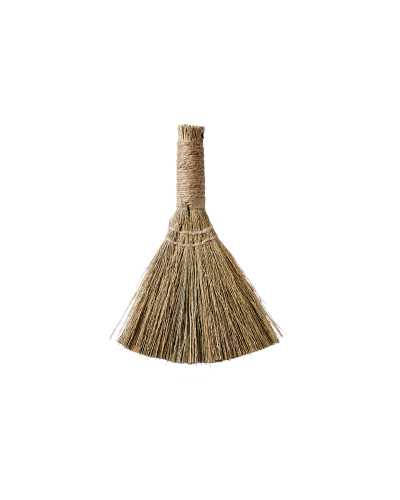 BROOM Brosse M, Nature